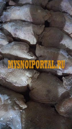 Куриные Тушки ГОСТ зам, в Подольске Подольск - изображение 1