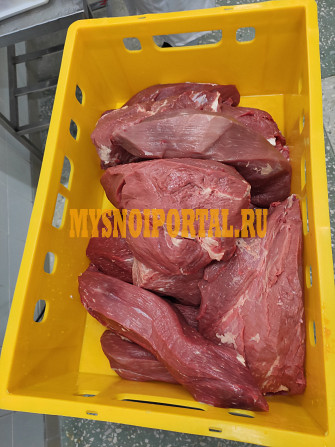 Продаю Блочная говядина ООО "Мясокомбинат Элит", ГОСТ, зам, в Минске Минск - изображение 1