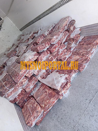 Продаю Полутуши Говяжьи ТУ, н/к, зам, в Казани Казань - изображение 1