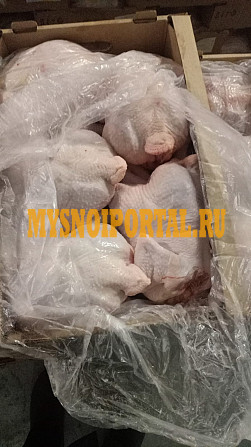 Маточник ГОСТ Охл/Зам, в Москве Москва - изображение 1