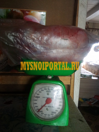 Тушка кролика ГОСТ, Охл/Зам, в Боровичах Боровичи - изображение 1