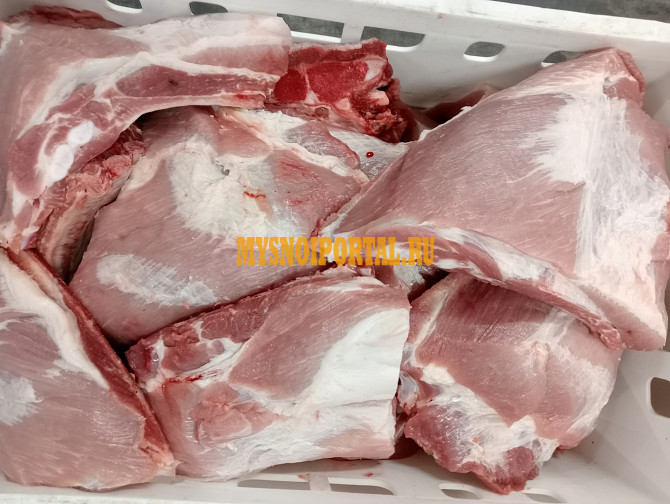 Продаю Ребрышки свиные Подлопаточное, н/к, зам, в Москве Москва - изображение 1