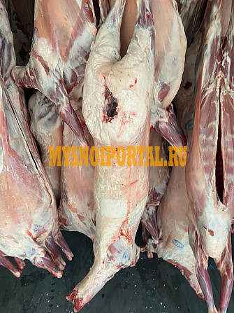Туши Бараньи (Ягнятины) Романовская , н/к, Охл/Зам, в Одинцово Одинцово - изображение 1