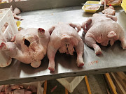 Куриные Тушки ГОСТ бренда Птичий двор, Охл/Зам, в Москве доставка из г.Москва