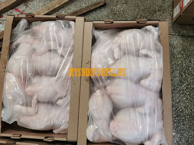 Куриные Тушки ГОСТ бренда Птичий двор, Охл/Зам, в Москве Москва - изображение 1