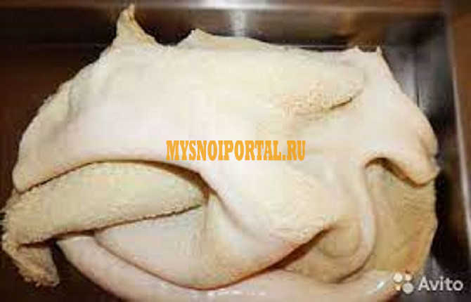 Рубец говяжий РФ, ГОСТ зам, от 100 кг, оптом в Ижевске Ижевск - изображение 1