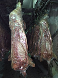 Полутуши Свиные Охл/Зам, категория - II (мясная – молодняк), III (жирная) в Омске  доставка из г.Омск