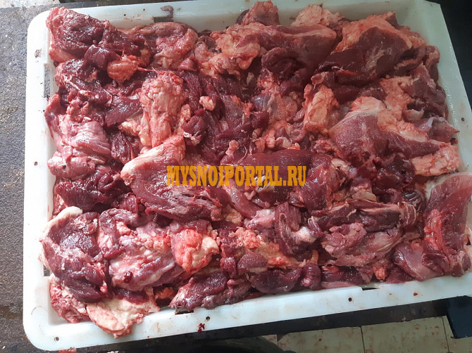 Продаю Тримминг говяжий 80/20 ГОСТ, зам, в Ижевске Ижевск - изображение 1