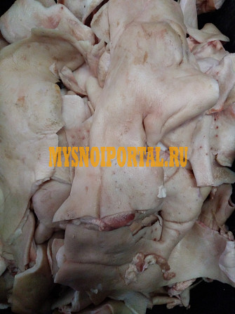 Шкура свиные РФ зам, от 5 тонн в Бийске Бийск - изображение 1