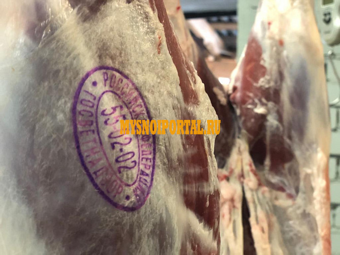 Туши Бараньи (Ягнятины) в Ярославле Ярославль - изображение 1