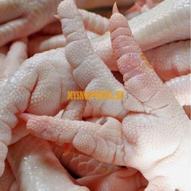 Ноги куриные зам, от 100 кг, оптом в Киреевске Киреевск - изображение 1