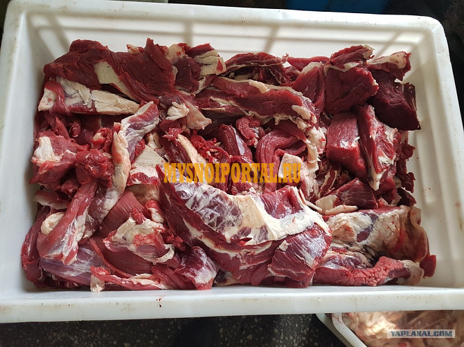 Тримминг говяжий оптом из Москвы Москва - изображение 1