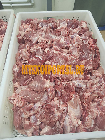 Мясо голов свиных Курск - изображение 1