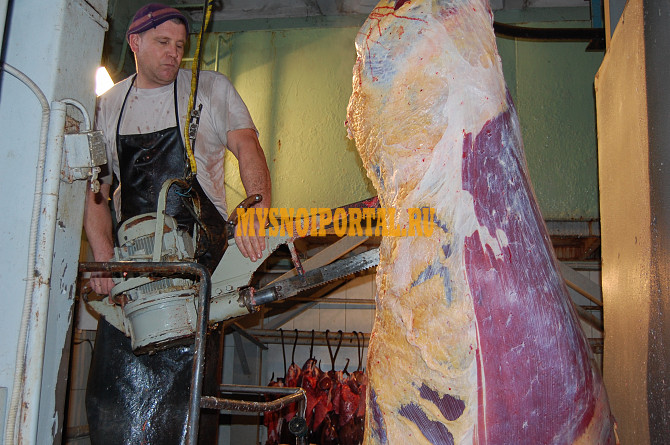 Полутуши Говяжьи коров Алтайское, ГОСТ, blak angus, н/к, зам, 260 руб. в Барнауле Барнаул - изображение 1