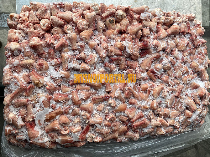 Трубчатая кость куриная зам, от 20 тонн, оптом в Москве Москва - изображение 1