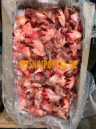 Головы куриные зам, от 100 кг, оптом в Бронницах Бронницы - изображение 1