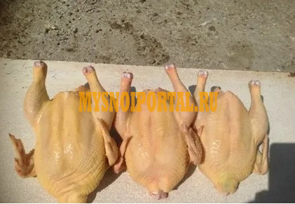 Мясо птицы ЦБ (халяль) Прохладный - изображение 1