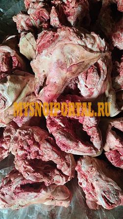 Головы свиные ограбленные 3 компартмент Уфа - изображение 1