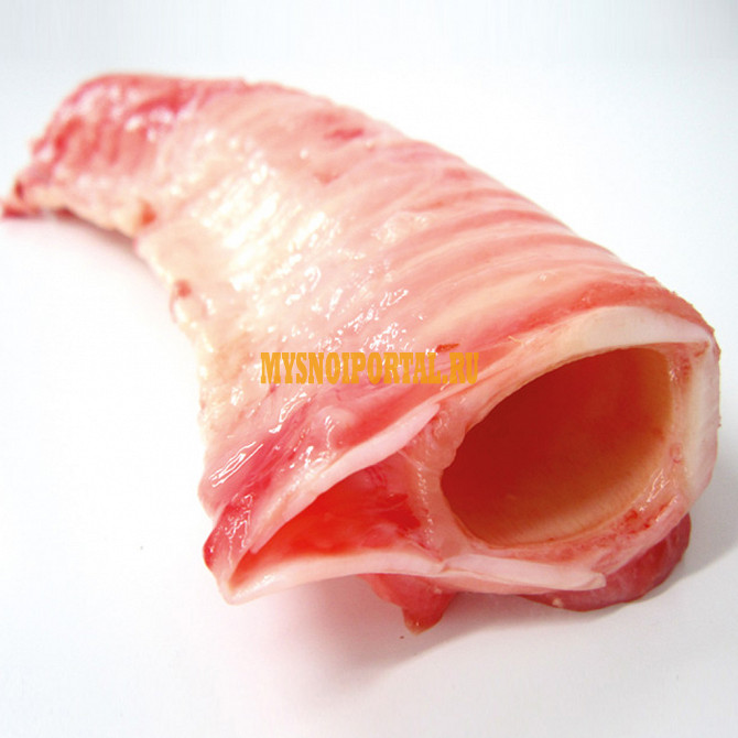 Трахея говяжья оптом от производителя Красноярск - изображение 1