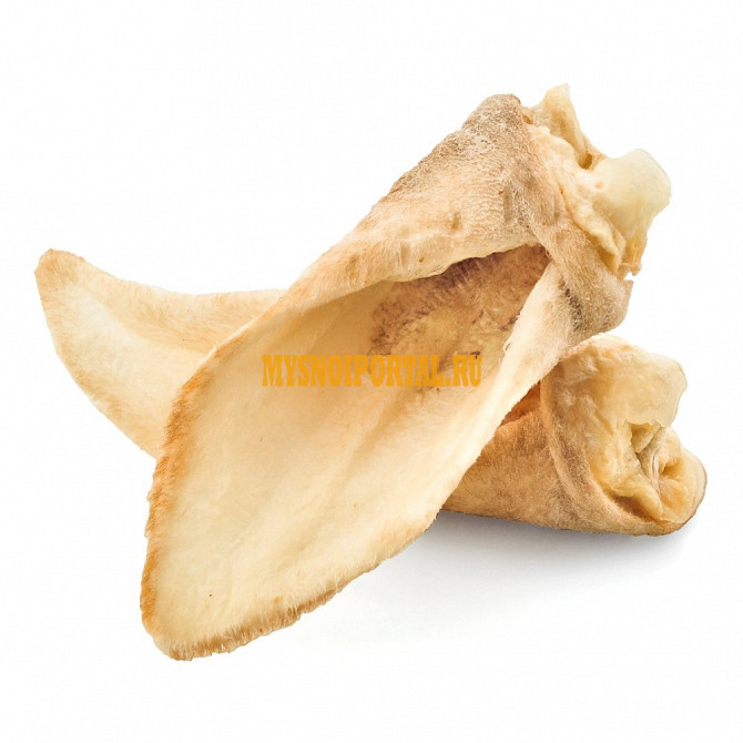 Уши говяжьи оптом от ООО Броневик из Красноярска Красноярск - изображение 1