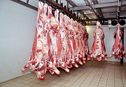 Полутуши Говяжьи коров, бычков, телят  ГОСТ, Халяль, ТУ, blak angus, HEREFORD, шаролезская, лимузинская, Wagyu, н/к,  зам, 320 руб.  в Красноярске  доставка из г.Красноярск