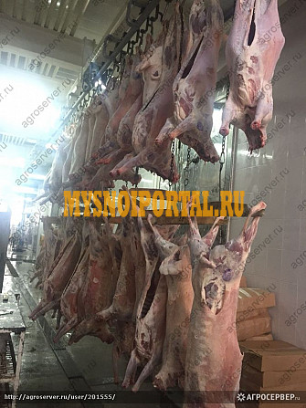 Баранина туша охлажденная и замороженная в Тюмени Красноярск - изображение 1