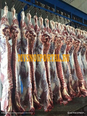 Продаю Полутуши Говяжьи от "Много мяса", ГОСТ, замороженная(ое), в Красноярске Красноярск - изображение 1