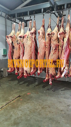 Говядина полутуши 1 и 2 категории Москва - изображение 1