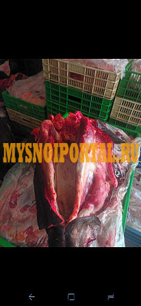 Головы говяжьи Тула - изображение 1