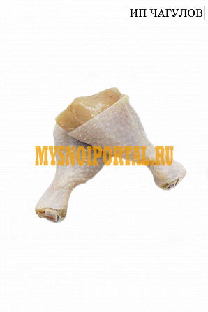 Голень ЦБ Пятигорск - изображение 1