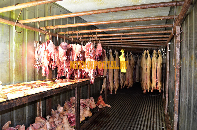 Убойный цех Ступино - изображение 1