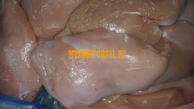 Мясо индейки от ООО Мясной союз Ставрополь - изображение 1