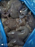 Субпродукты свиные доставка из г.Барнаул