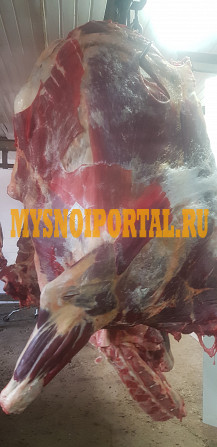 Говядина охлажденная Краснодар - изображение 1