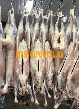 Баранина охл Краснодар - изображение 1