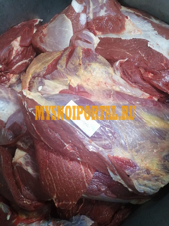 Шейно-лопаточный отруб говяжий замороженный(20) Бийск - изображение 1