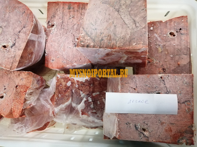 Лёгкое говяжье замороженное(10) Бийск - изображение 1