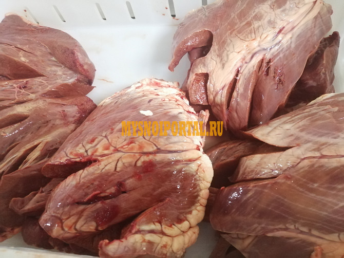 Сердце говяжьe замороженное(15) Бийск - изображение 1