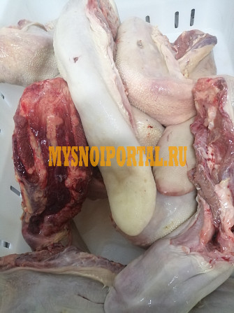 Язык говяжий замороженный Бийск - изображение 1