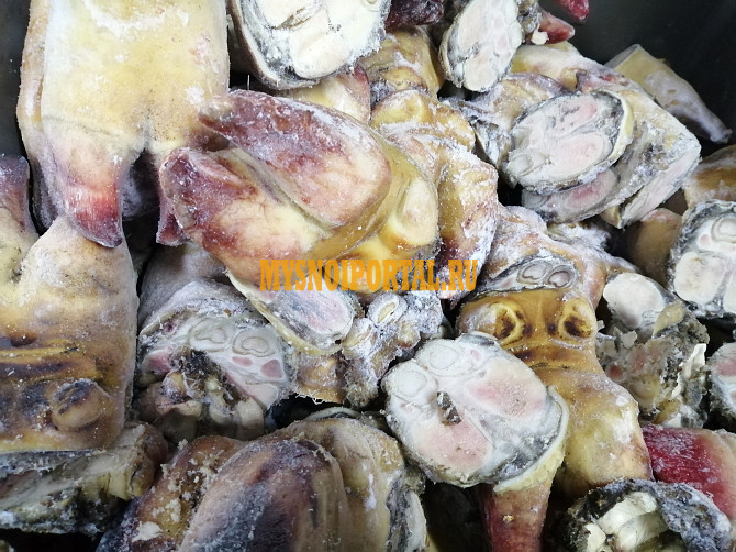 Ноги говяжьи с путовым суставом замороженные(15-25) Бийск - изображение 1