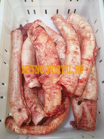 Трахея говяжья замороженная(10) Бийск - изображение 1