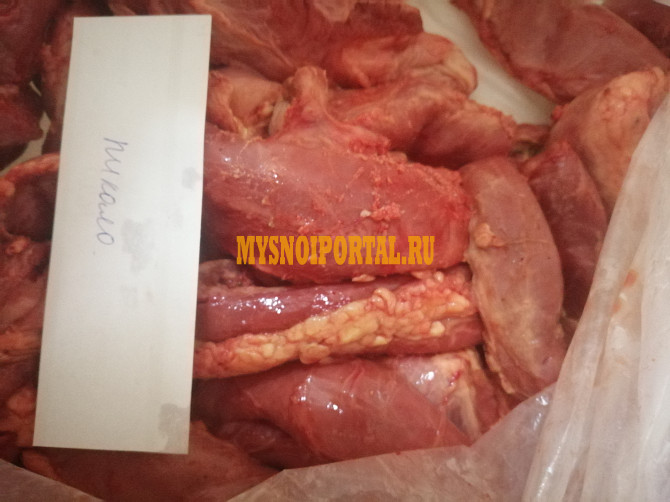 Пикало говяжье Бийск - изображение 1