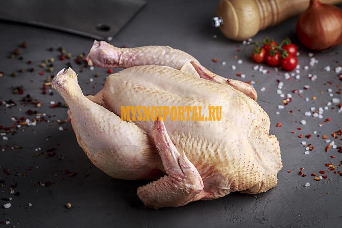 Закупка кура-тушка неразделанная Санкт-Петербург - изображение 1