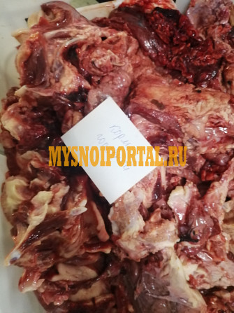 Корм для животных Бийск - изображение 1