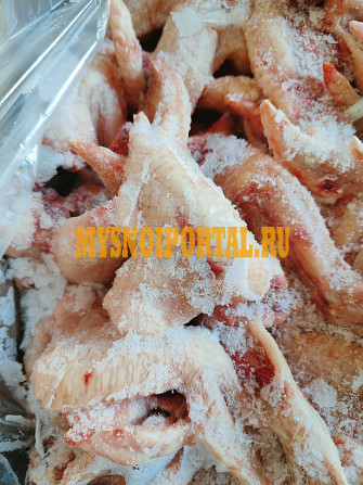 Крыло куриное - Целое, от "Акашево", 135 руб. в Шахтах Шахты - изображение 1