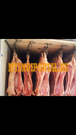 Свинина полутуши крестьянка Воронеж - изображение 1