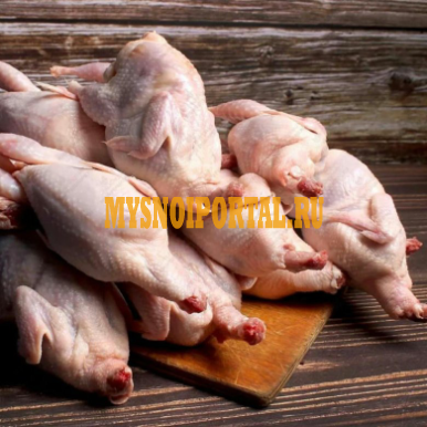 Домашнее мясо: гуся и утки. (Опт и в розницу) Красноярск - изображение 1