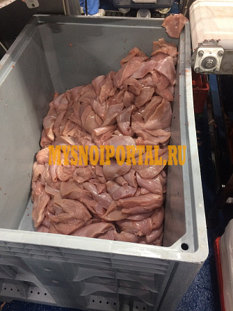Мясо индейки оптом Ставрополь - изображение 1