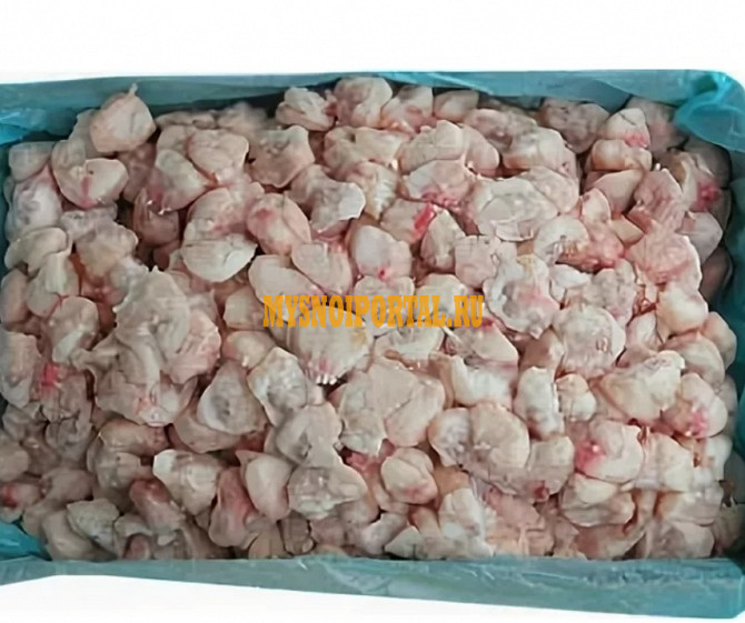 Гузка ЦБ монолит Шахты - изображение 1