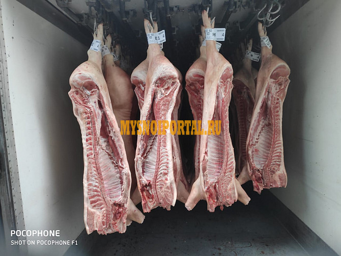 Свинина пт заморозка Челябинск - изображение 1